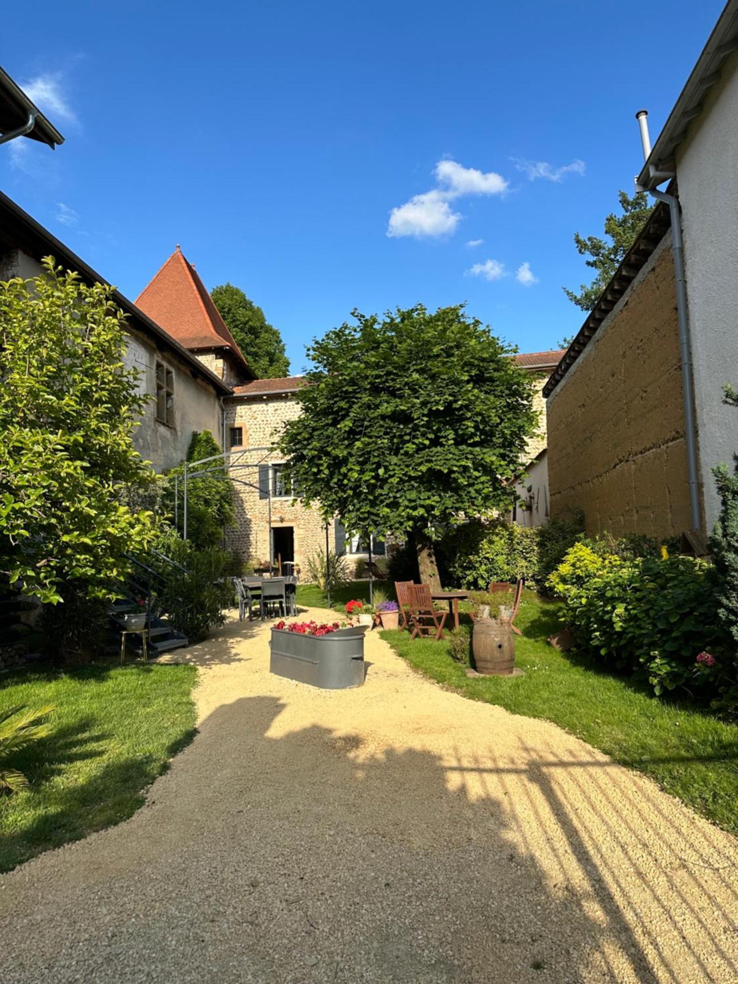 Chateau De La Saone Lens-Lestang Exterior foto